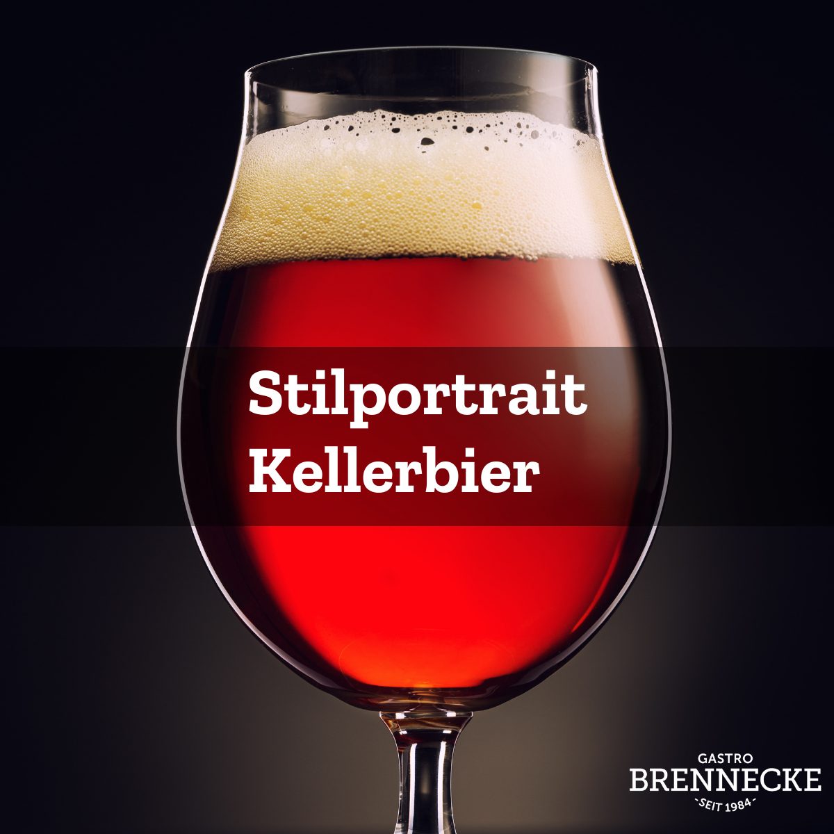 Aus dem Fass direkt in die Schank Kellerbier im Stilportrait Gastro