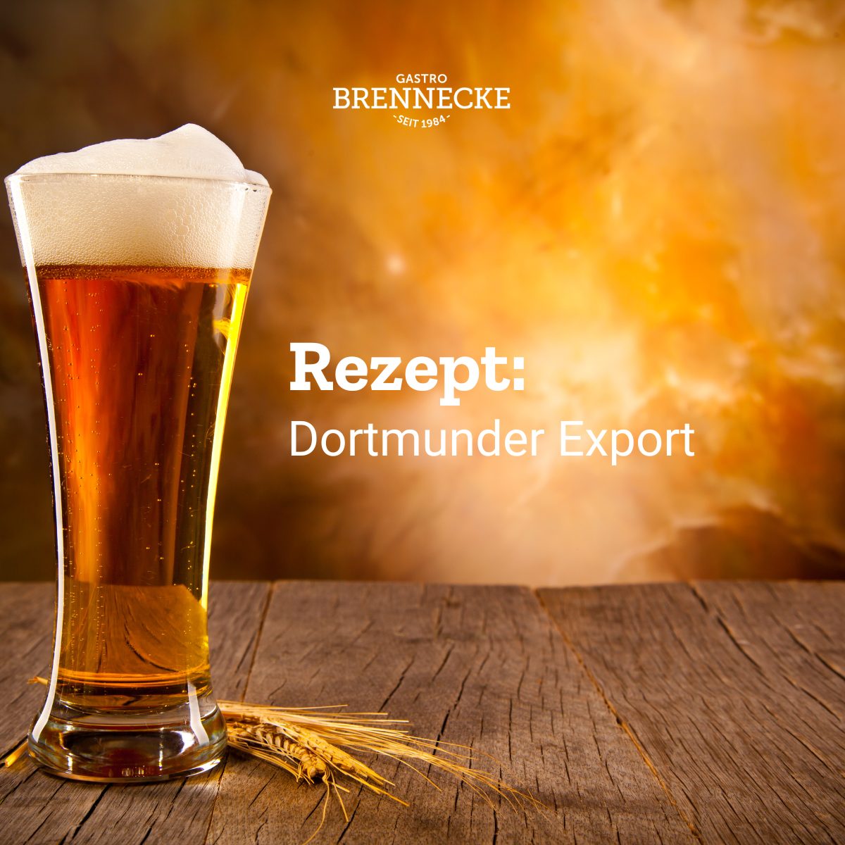 Dortmunder Export Bier Rezept Gastro Brennecke Blog