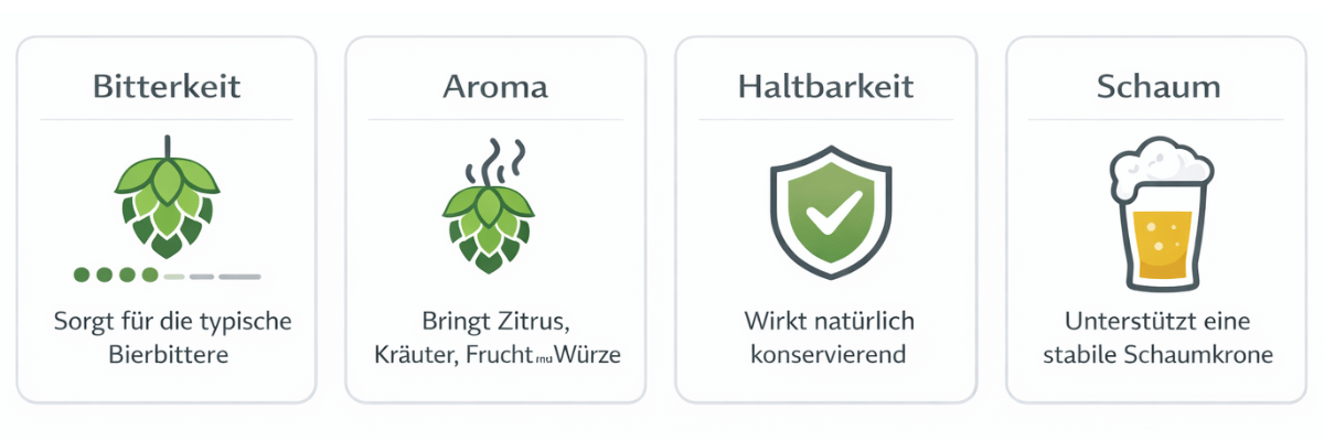 Hopfen im Bier Übersicht mit Bitterkeit Aroma Haltbarkeit und Schaum
