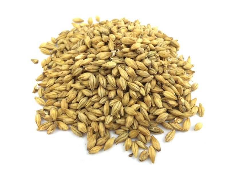 1kg Whisky Malz Braumalz 1kg Whisky Malz Braumalz