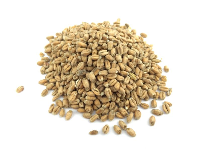 1kg Wheat malt light brewing malt uncrushed