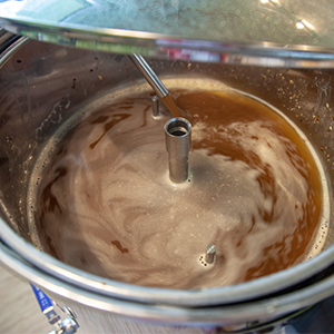 Speise-Karbonisierung