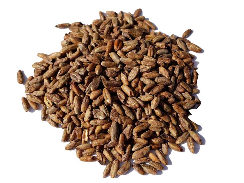 1kg CARARYE® Caramelmalz Braumalz ungeschrotet 1kg CARARYE® Caramelmalz Braumalz ungeschrotet