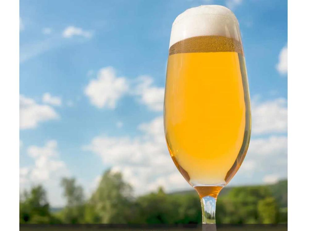 Malzmischung Pils untergärig Malzmischung Pils untergärig