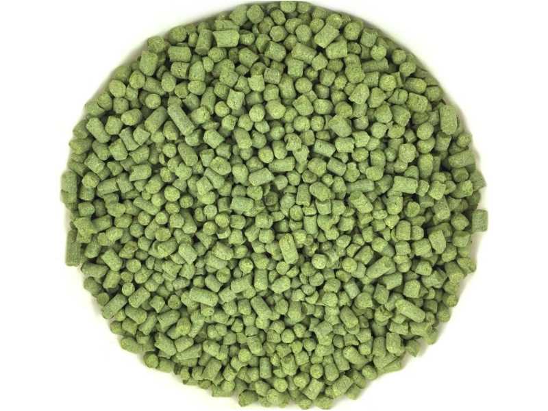 Hopfenpellets Galaxy 14% alpha 50g