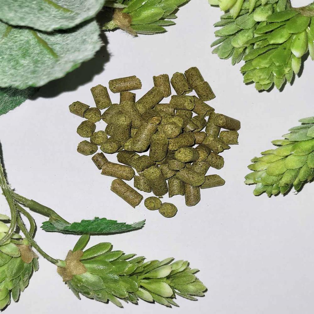 Hop pellets Golding UK 3.3% alpha 100g