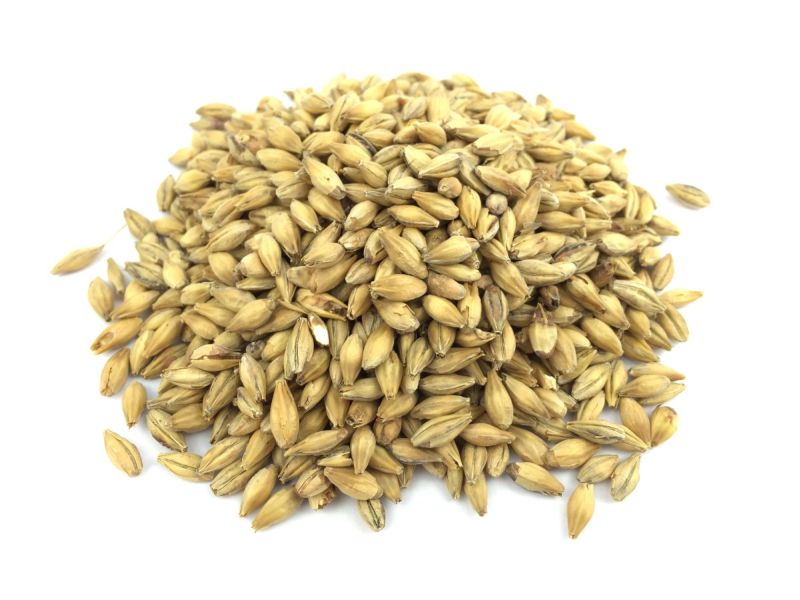 1kg Vienna malt brewing malt unground