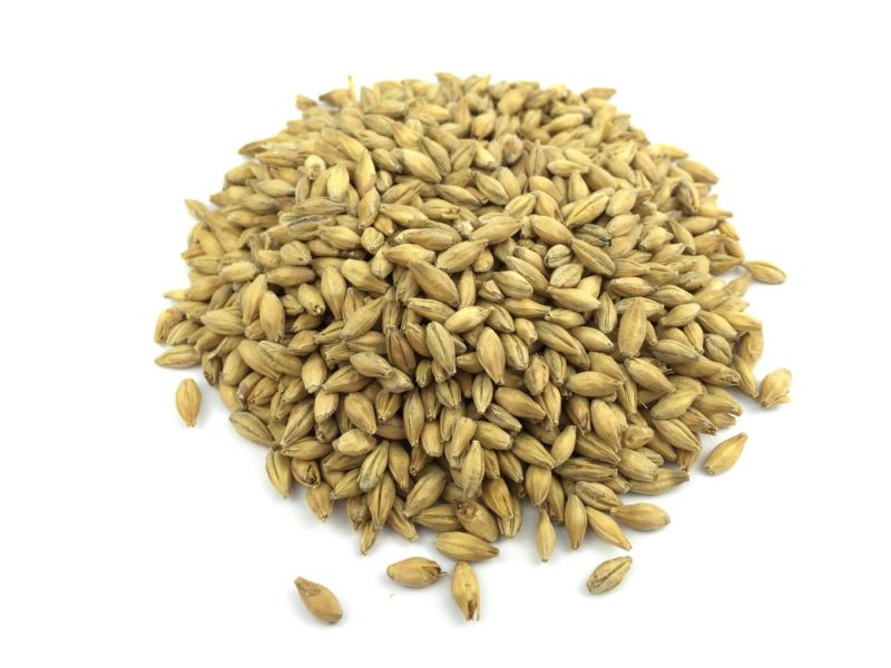 1kg Pale Ale malt Brewing malt uncrushed