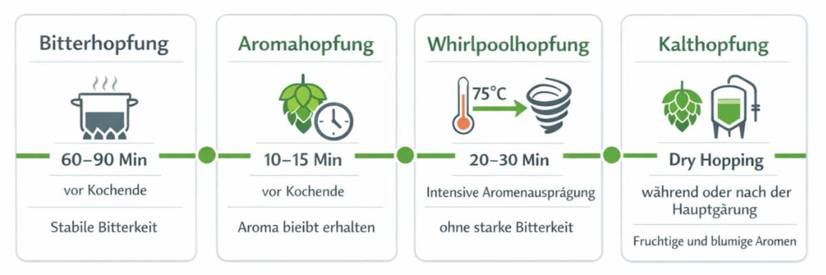 Hopfengabe Zeitstrahl mit Bitterhopfung Aromahopfung Whirlpoolhopfung und Kalthopfung