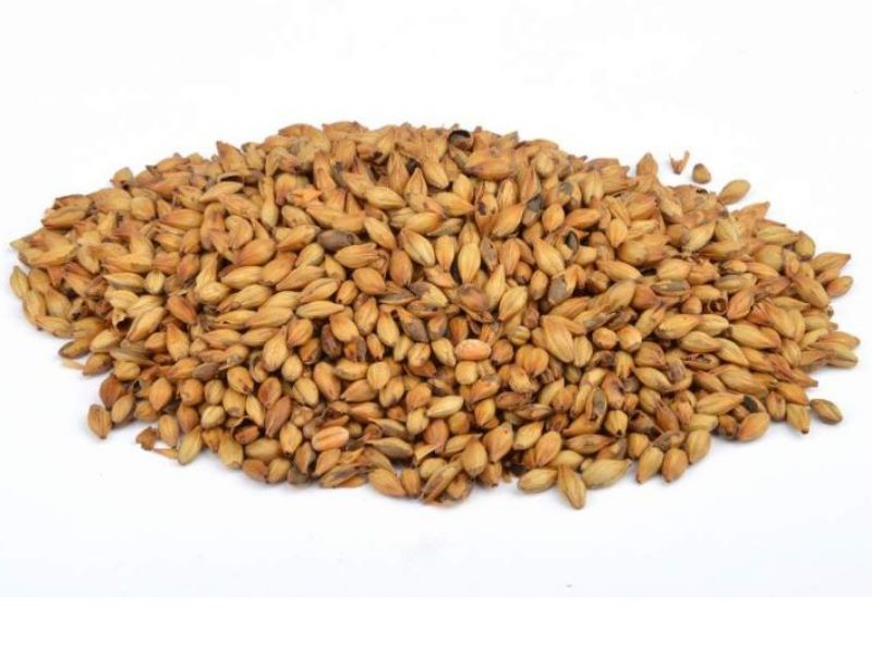 25kg Caramünch® III Braumalz ungeschrotet Sackware Karamelmalz Dunkel 25kg Caramünch® III Braumalz ungeschrotet Sackware Karamelmalz Dunkel