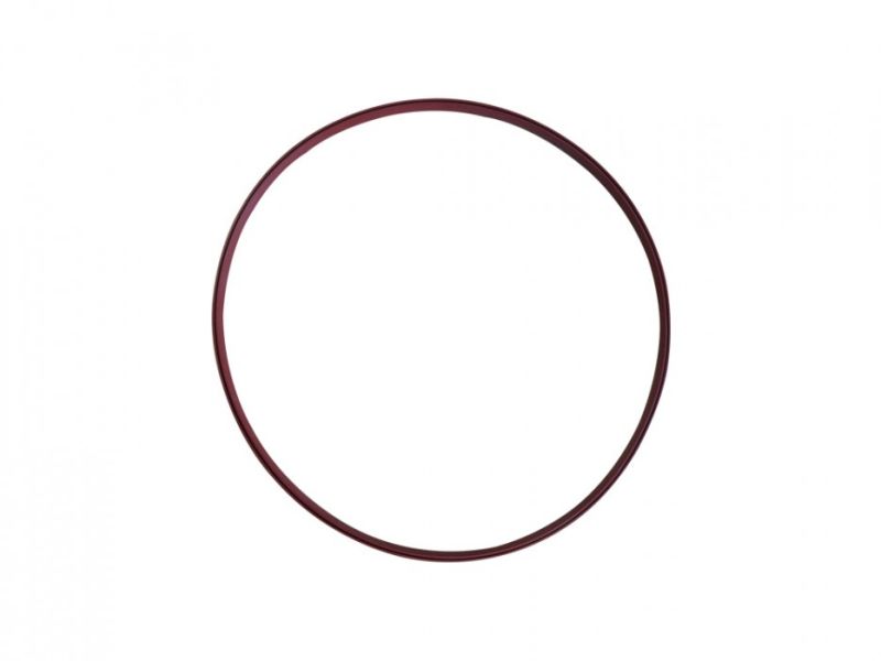 Malzrohrdichtung Speidel Braumeister 20 Liter Malzrohrdichtung Speidel Braumeister 20 Liter