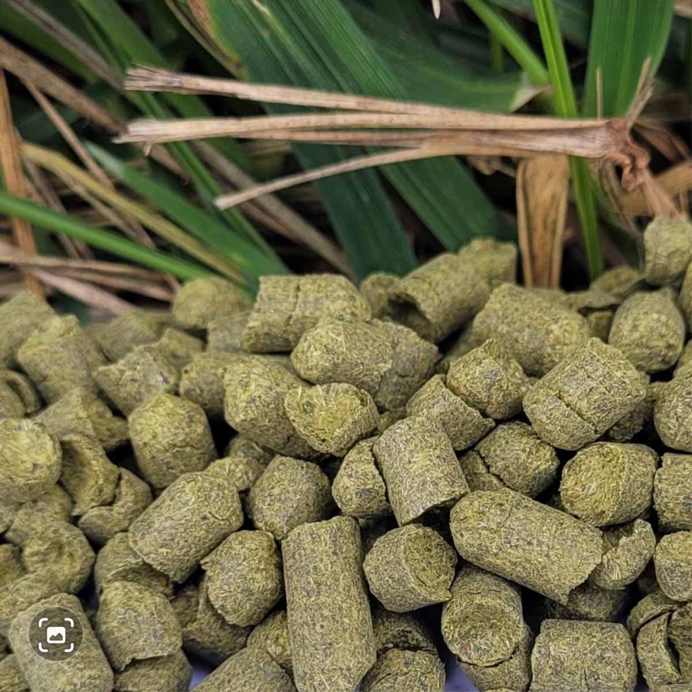 Hopfenpellets Amarillo 7,7% alpha