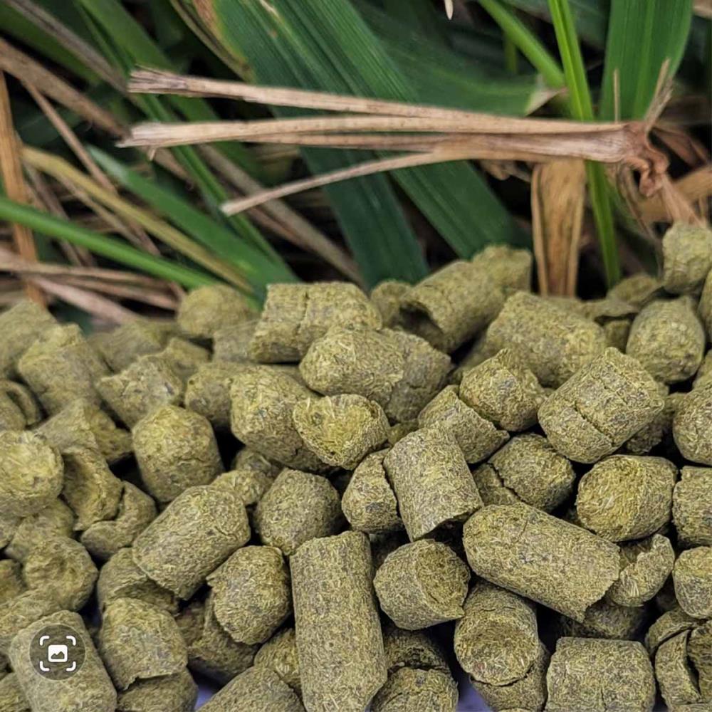Hopfenpellets Amarillo 7,7% alpha Hopfenpellets Amarillo 7,7% alpha
