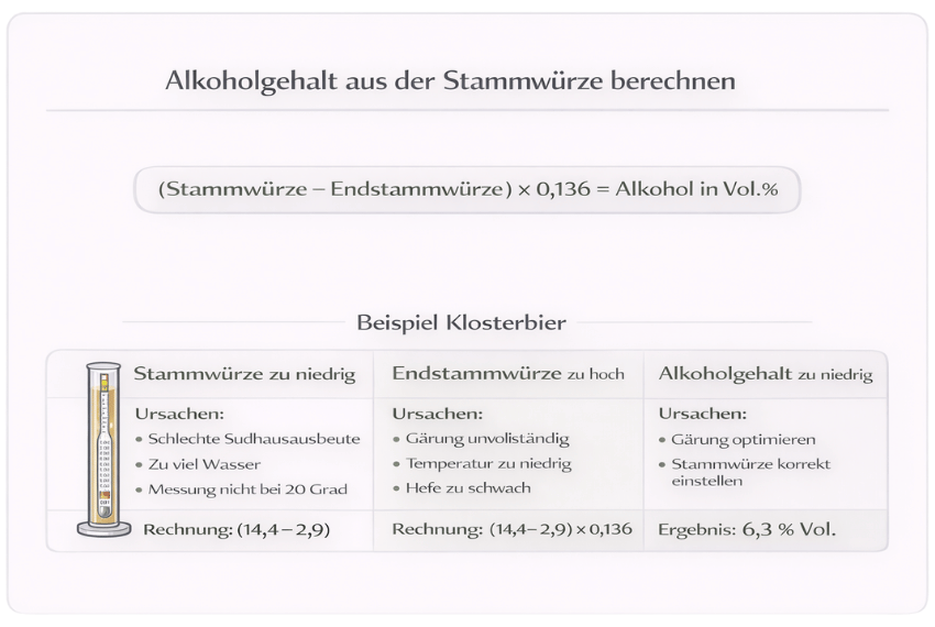 Alkoholgehalt aus der Stammwürze berechnen mit Formel und Beispielrechnung