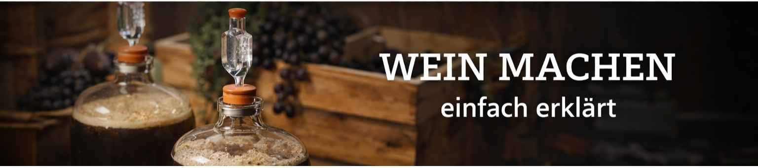 wein-machen-einfach-erklaert-wissenswelt