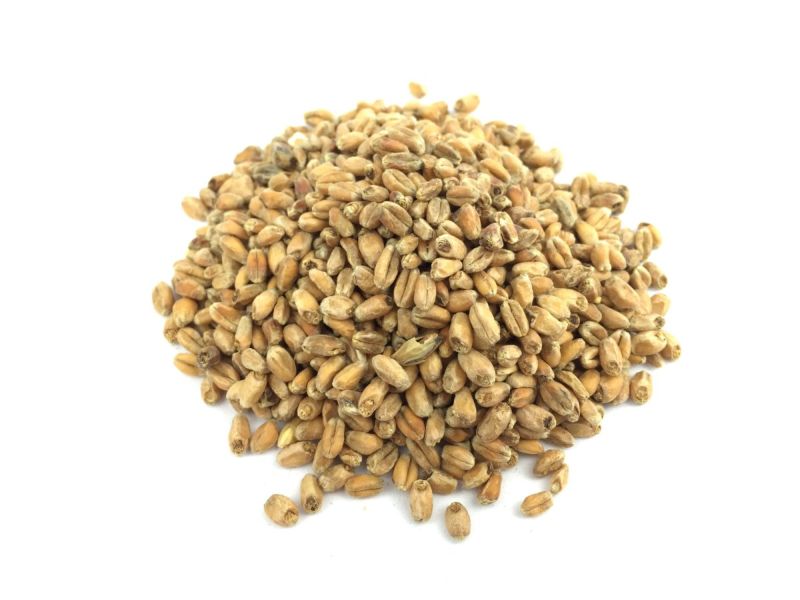 1kg wheat malt dark brewing malt