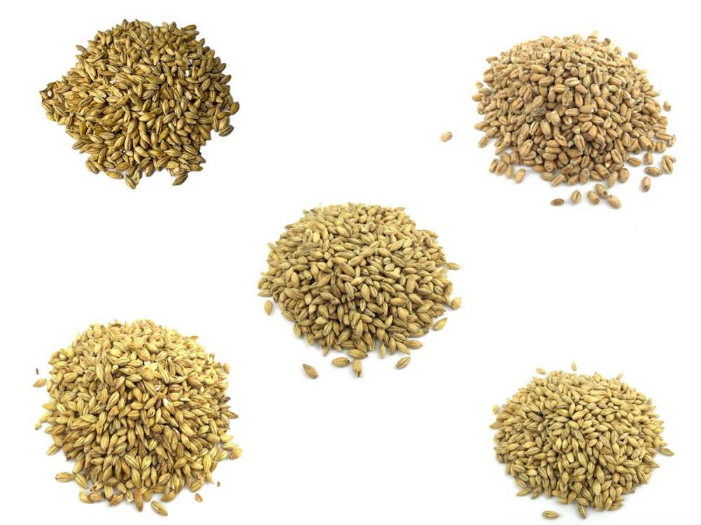 Basis Malz Paket 1 Basis Malz Paket 1